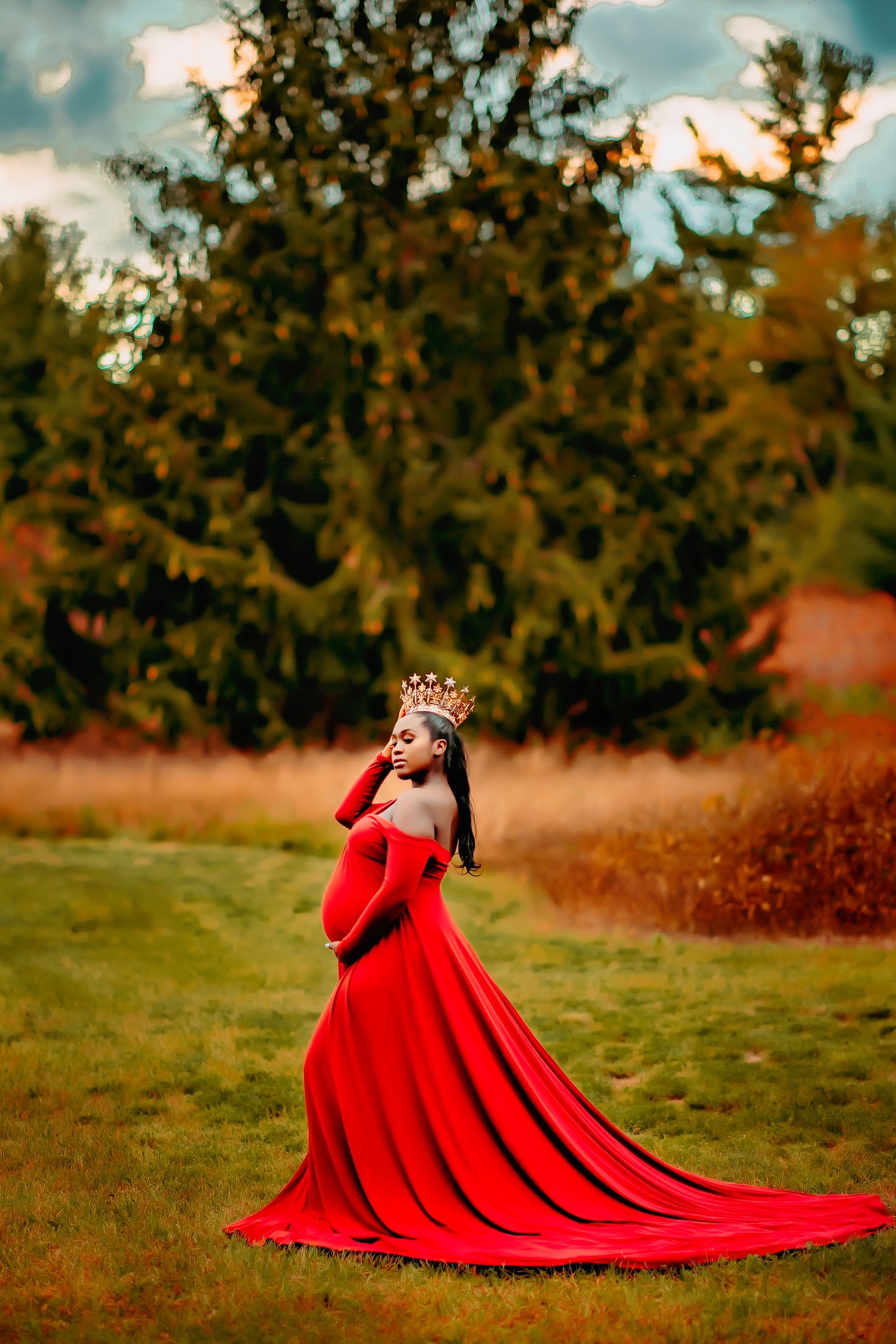 Gold Crown - maternity photoshoot dress
