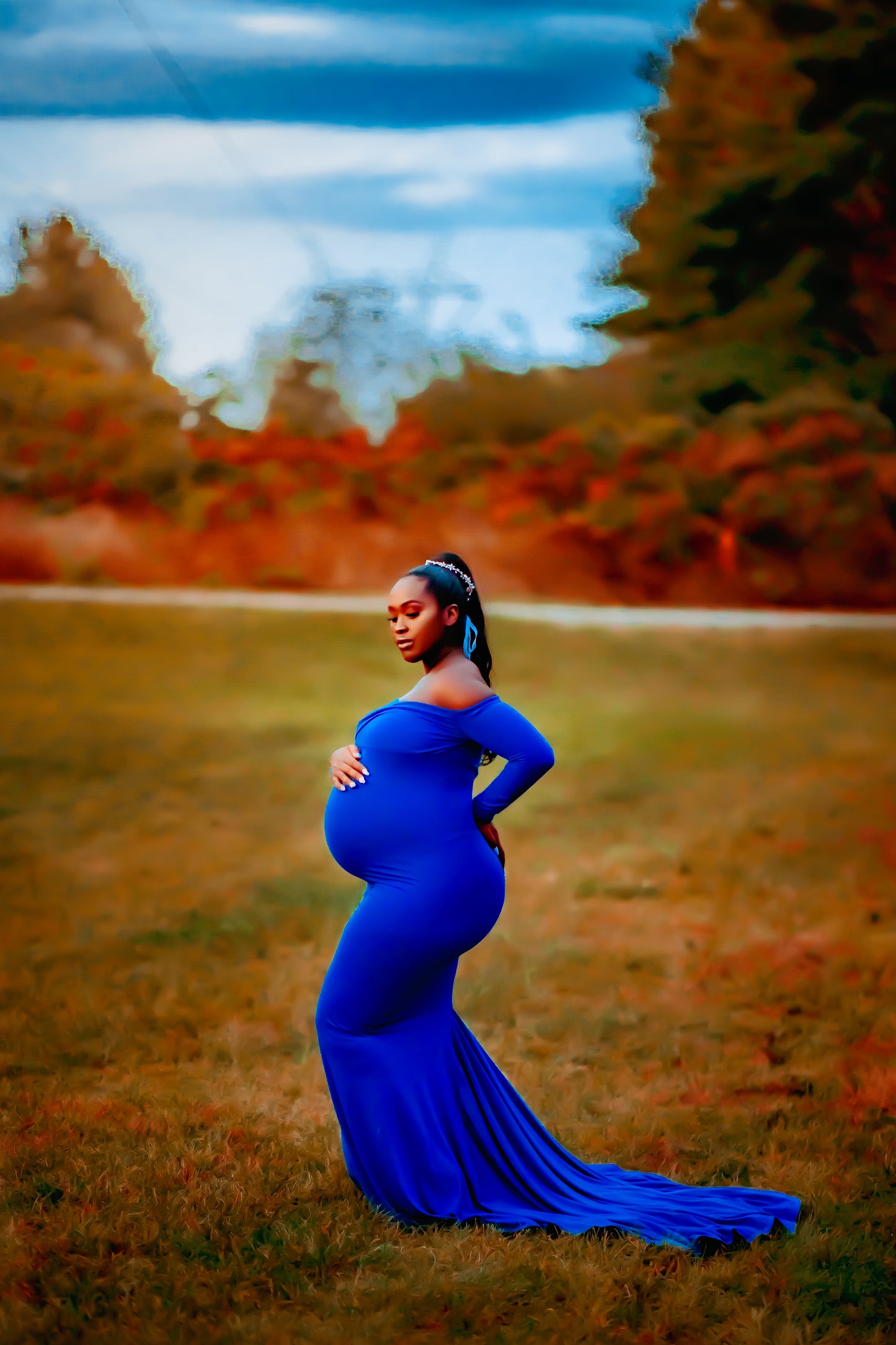 Royal Blue Fitted Gown - maternity photoshoot dress