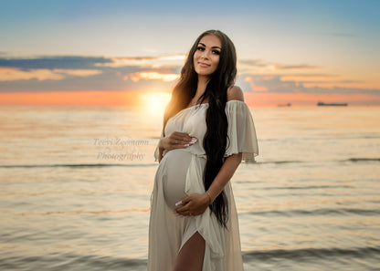 Altheda Champagne Dress - maternity photoshoot dress